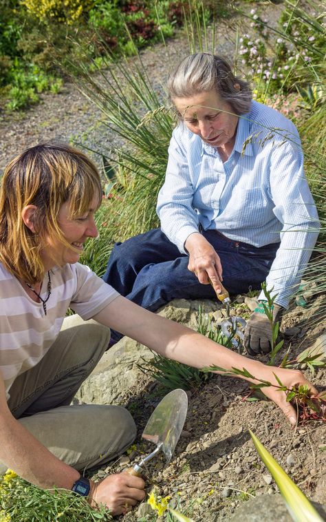 How to plant a steep, sunny bank Steep Hillside Landscaping, Steep Gardens, Hillside Landscaping, Sloped Garden, Ann Marie, Weeding, Front Yard Landscaping, Top Tips, Backyard Landscaping