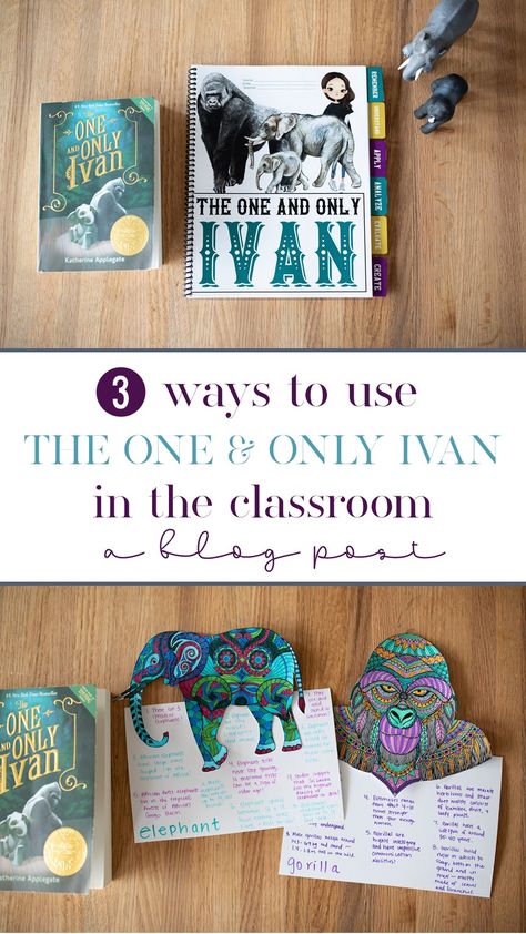 The One And Only Ivan, Literacy Classroom, Katherine Applegate, 4th Grade Books, 6th Grade English, 3rd Grade Books, One And Only Ivan, Teaching 6th Grade, 6th Grade Reading