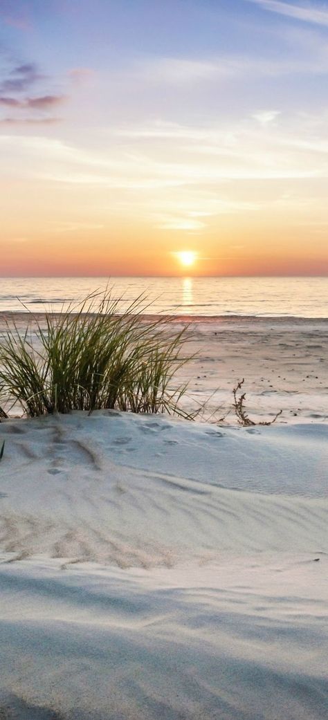 Sugar white sand and a beautiful sunset. Matka Natura, Fotografi Alam Semula Jadi, I Love The Beach, Jolie Photo, Alam Semula Jadi, Sand Dunes, Beach Scenes, Ocean Beach, Beautiful Sunset