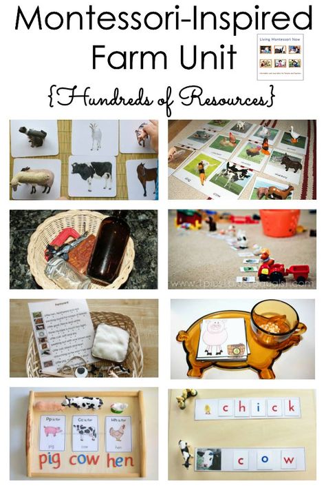 Farm Montessori, Farm Unit Study, Farm Lessons, Montessori Trays, Farm Unit, Montessori Lessons, Farm Preschool, Wooden Building, Montessori Homeschool