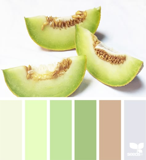 Fresh Green Color Palette, Melon Color Palette, Design Seeds Color Palette, Seeds Color Palette, Color Melon, Seeds Color, Visual Merchandiser, Color Palette Challenge, Color Schemes Colour Palettes