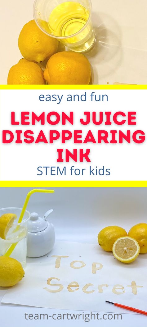 Text: Easy and Fun Lemon Juice Disappearing Ink STEM for Kids! Top Picture: Lemons and glass of homemade lemonade. Bottom Picture: Lemonade with yellow straw, lemons and lemon cut in half, sugar bowl, red paintbrush to write secret messages, and Top Secret written in DIY disappearing ink that has reappeared. Outside Science Experiments For Kids, Invisible Ink Experiment, Grade 2 Science Experiments, Lemonade Science Experiment, Invisible Ink With Lemon Juice, Science Projects For 1st Graders, Yellow Science Preschool, 1st Grade Experiments, Grade 3 Science Experiments