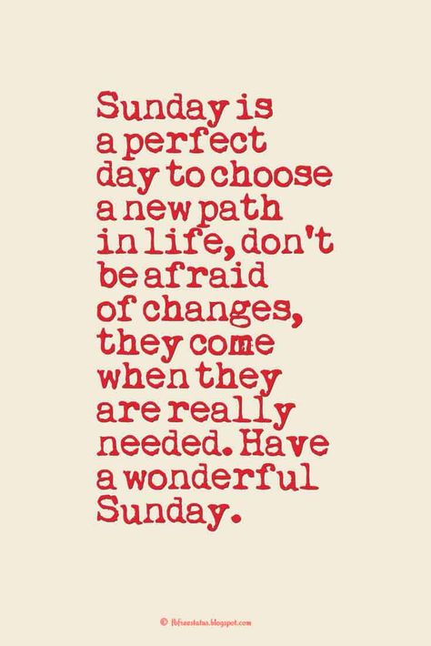 Sunday is a perfect day to choose a new path in life, don’t be afraid of changes, they come when they are really needed. Have a wonderful Sunday., Happy Sunday images Lazy Morning Quotes, Sunny Day Quotes, Happy Sunday Images, Sunday Morning Quotes, Sunday Quotes Funny, Sunday Images, Weekday Quotes, Morning Quotes Images, Weekend Quotes