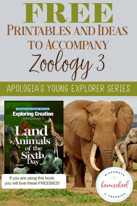 FREE Printables to go with each lesson in Apologia's Land Animals of the Sixth Day Zoology 3. #apologiascience Apologia Zoology 3 Land Animals, Land Animals Preschool Activities, Homeschool Essentials, Start Homeschooling, Animal Lessons, Science Textbook, Land Animals, Animal Adaptations, Animal Worksheets