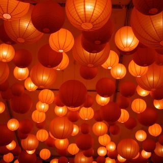 My favorite color.  Orange Hanging Lanterns #orange  #party decor Orange Lanterns, Foto Macro, Orange Party, Jaune Orange, Orange Walls, Have Inspiration, Rainbow Aesthetic, Orange You Glad, Orange Aesthetic