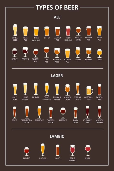 42 Different Types of Beer – How Well Do You Know Your Beer Options Beer Infographic, Beer Calories, Beer Food Pairings, Beer Facts, Different Types Of Beer, Beer Types, Beer Guide, Types Of Beer, Beer Pairing