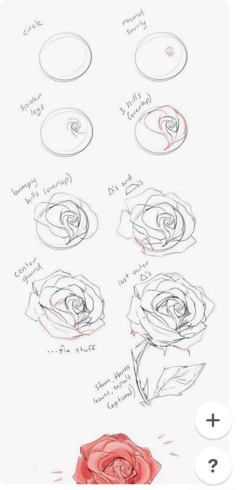 Hur Man Ritar Blommor, Draw A Rose, Drawing Steps, Kunst Tattoos, Draw Human, Flower Drawing Tutorials, Flower Art Drawing, Learn Drawing, Flower Sketches