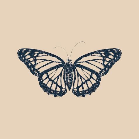 Butterfly Illustration Art, Sketch Butterfly, Tatuaje Studio Ghibli, Illustration Butterfly, Bugs Drawing, Butterfly Tattoos On Arm, About Butterfly, Small Girly Tattoos, Butterfly Sketch