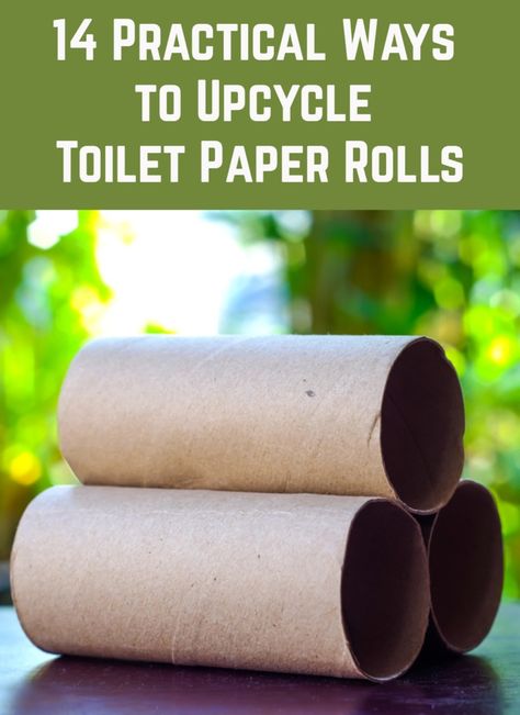 Tissue Roll Crafts, Toilet Paper Roll Diy, Toilet Roll Craft, Paper Towel Tubes, Rolled Paper Art, Public Toilet, Toilet Paper Tube, Toilet Paper Crafts, Diy Toilet