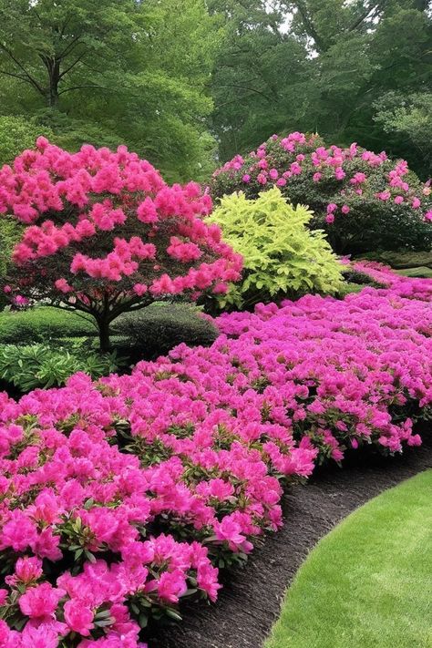 11 Best Flowering Shrubs For Zone 5 Zone 4 Perennial Garden Layout, Flowering Bushes Full Sun, Perennial Garden Layout, Zone 5 Landscaping, Perennials For Full Sun, Zone 4 Perennials, Zone 6 Plants, Weigela Bush, Spirea Shrub