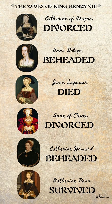 The six wives of Henry VIII - Catherine of Aragon, Anne Boleyn, Jane Seymore. Anne of Cleves, Catherine Howard and Katherine Parr. All women who had their own remarkable histories and deserved much more than how history has remembered them.  This shops mission is to shine a fresh light on historical figures that have been untold, forgotten or misremembered. King Henry Viii Wives, Jane Seymore, Anne Boleyn Aesthetic, Katherine Parr, Catherine Howard, Katherine Howard, Wives Of Henry Viii, Royal Family Trees, Anne Of Cleves