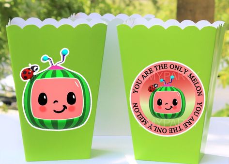 Coco Melon Birthday Party, Coco Melon Birthday, Watermelon Diy, Boy Birthday Pictures, Peanuts Birthday, Baby Birthday Party Theme, Coco Melon, Twin Girl, 2nd Birthday Party For Girl