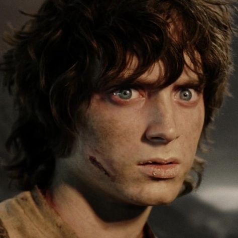 Frodo Baggins Art, Elija Wood, Lotr Characters, Frodo Baggins, Elijah Wood, Nathan Drake, Bilbo Baggins, Ring Bearer, Middle Earth