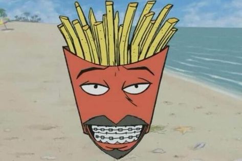 Aqua Teen Hunger Force, Aqua Teen, Force