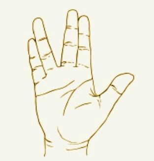 Vulcan hand sign that means "Live long and prosper, " used as a greeting. Origin: the TV show 'Star Trek.' Live Long And Prosper Vulcan, Spock Hand Tattoo, Live Long And Prosper Tattoo, Star Trek Drawings, Star Trek Hand Sign, Spock Hand, Star Trek Vulcan, Tattoo Tv Shows, Star Trek Borg