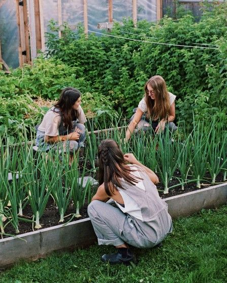 Plantas Bonsai, Urban Farmer, Urban Agriculture, Gardening Outfit, Community Gardening, Urban Farming, Veggie Garden, Farm Gardens, Kitchen Garden