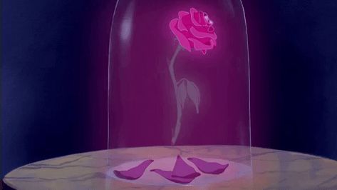 Wallpaper Rosa, Disney Icons, Prințese Disney, Enchanted Rose, Disney Princes, Old Disney, Pixar Movies, Disney Beauty And The Beast, Pinturas Disney