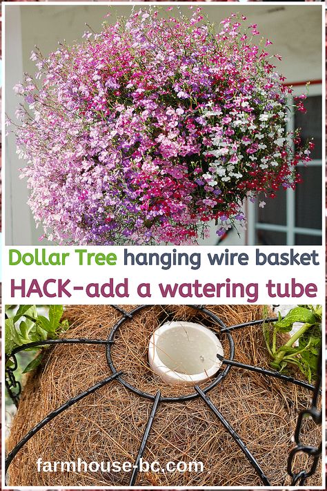 Garden Flowers - We will save you many hours of searching. Just click to visit and get what you need IMMEDIATELY! Hanging Baskets Diy, Hanging Flower Basket, Hanging Plants Outdoor, Hanging Wire Basket, Vika Papper, Plants For Hanging Baskets, Hanging Flower Baskets, Container Gardening Flowers, Hanging Flower Pots