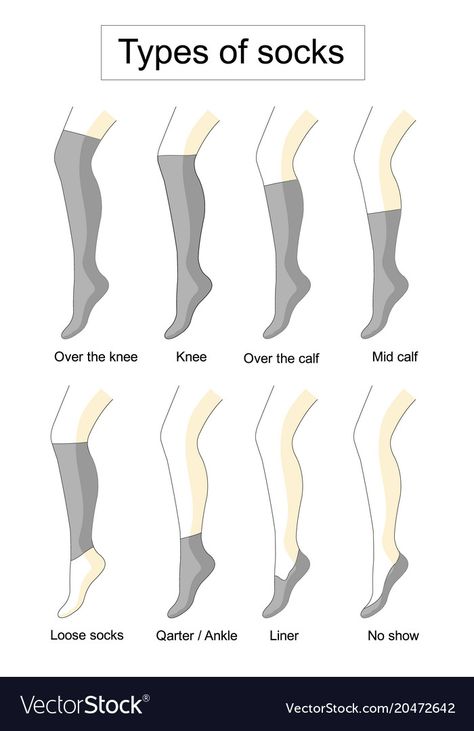 Types Of Socks Names, Socks Types, Socks Reference, Types Of Socks, Socks Illustration, Socks Drawing, Wardrobe List, Fashion Terminology, Sock Suspenders