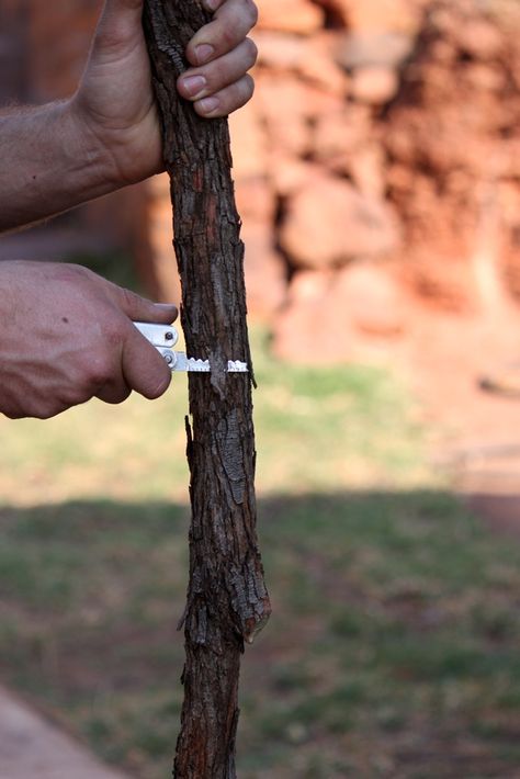 Inspo // Hobbies // Weapon Crafting Make A Walking Stick, Wood Hiking Stick, Handmade Walking Sticks, Walking Staff, Hiking Staff, Hand Carved Walking Sticks, Wood Carving For Beginners, Canes And Walking Sticks, Cane Stick