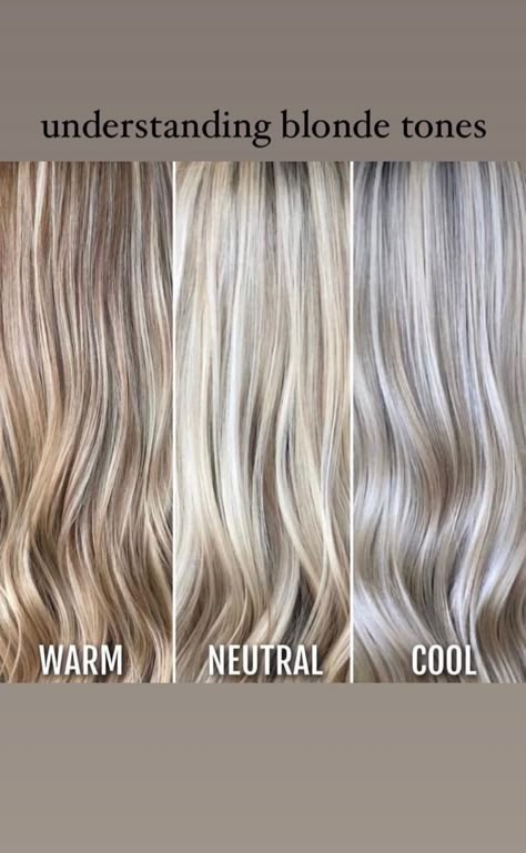 Neutral Brown Blonde Hair, Light Ash Blonde With Lowlights, Neutral Blonde Curly Hair, Cool Tone Lowlights For Blondes, Cream Soda Blonde Hair, Different Colors Of Blonde Hair, Highlight Lowlight Blonde Short Hair, Blonde Hair To Cover Grey Hair, Ashy Silver Blonde Hair