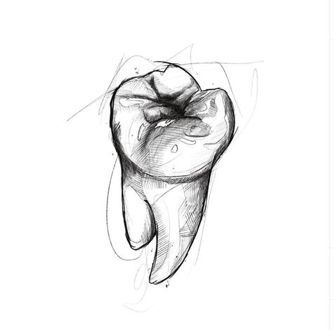 Teeth Sketch Anatomy, Molar Tooth Drawing, How To Draw A Teeth, Human Teeth Drawing, Tooth Tattoo Ideas Dental, Dentures Drawing, How To Draw A Tooth, Dentistry Drawing, Molar Drawing