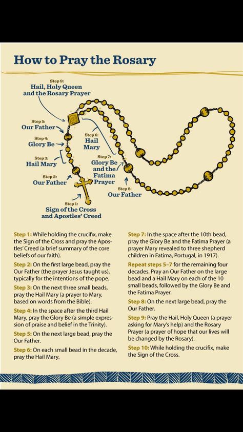 Rosary Prayer Guide, Praying The Rosary Catholic, Fatima Prayer, Rosary Prayers Catholic, Hail Holy Queen, Pray The Rosary, Our Father Prayer, Apostles Creed, Sign Of The Cross