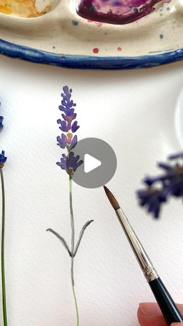 Watercolour Lavender Tutorial, How To Paint Lavender Flowers Watercolor, Lavender Plant Watercolor, Watercolor Lavender Tutorial, How To Paint Lavender, How To Paint Lavender Flowers, Watercolor Art Flowers Simple, Lavender Plant Drawing, Lavender Flower Painting