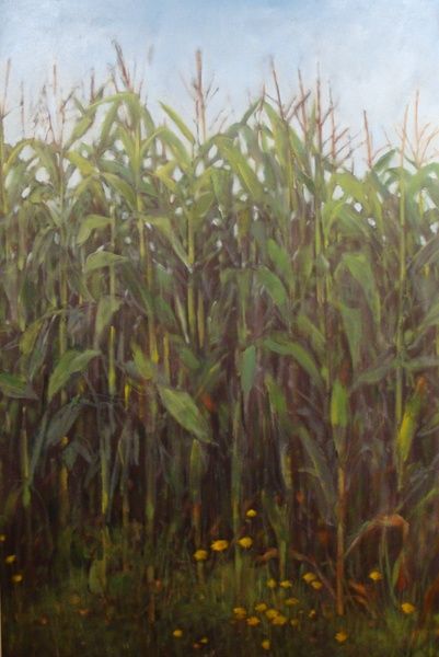 Plowed Fields Painting, Corn Fields Photography, Corn Field Illustration, Cornfield Painting, Corn Field Painting, Corn Field Drawing, Produce Signs, Corn Party, Corn Drawing