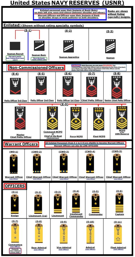 Hypothetical insignia of rank for the United States NAVY RESERVES.  They differ from active duty navy ranks by having the letters USNR above the "crow" or eagle device.  Enlisted ranks are shown without their rating or specialty insignia. Us Navy Ranks, Us Navy Enlisted Ranks, Navy Enlisted Ranks, Navy Officer Ranks, Military Girlfriend Army, Navy Insignia, Navy Ranks, Tactical Medic, Navy Training