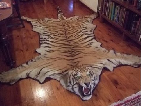 Don't be afraid to use animal skin. gorgeous lion rug. Animal Skin Rugs, Animal Skin Carpet, Animal Rugs, Animal Skin Rug, Taxidermy Decor, Tiger Rug, Tiger Skin, Skin Rugs, Animal Rug