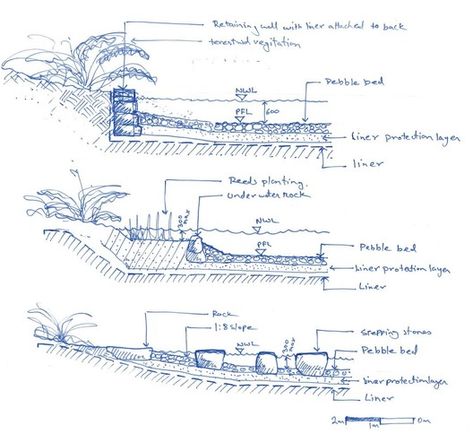 Turf Design, Sydney Park, Section Drawing, Landscape Architecture Drawing, Landscape Construction, Landscape Architecture Design, Construction Drawings, Commercial Architecture, Detailed Drawings