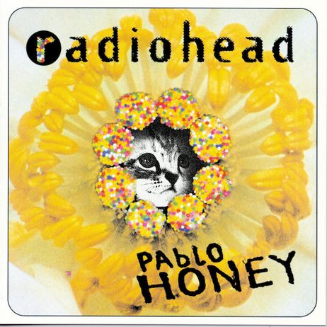 Classic Album Covers Reimagined With Kittens from NPR's All Songs Considered Radiohead Pablo Honey, Radiohead Albums, Creep Radiohead, Pablo Honey, Barry Lyndon, Cybill Shepherd, Classic Album Covers, Logo Game, Partition Piano