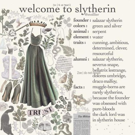 Welcome To Hogwarts, Harry Potter Poster, Slytherin Pride, Theme Harry Potter, Slytherin Harry Potter, Images Harry Potter, Harry Potter Houses, Hogwarts Aesthetic, Slytherin Aesthetic