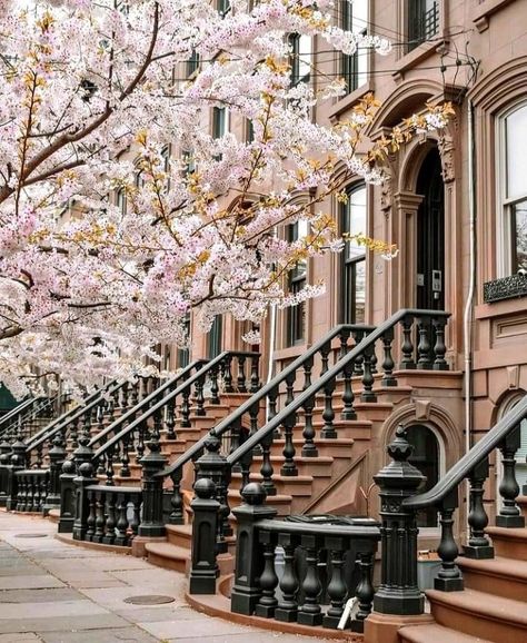 New York Row House, Cute Townhouse, Brownstone Design, Brownstone Interiors, Ny House, Brownstone Homes, French Homes, New York Townhouse, Brick Houses