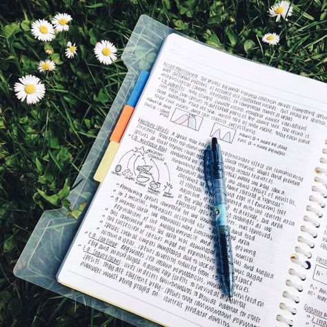 http://studyrose.tumblr.com/post/143513350514/studyrelief-12th-april-2016-52100-days-of Rose Tumblr, College Notes, Study Organization, Pretty Notes, Notes Inspiration, Work Motivation, College Study, Class Notes, School Study Tips