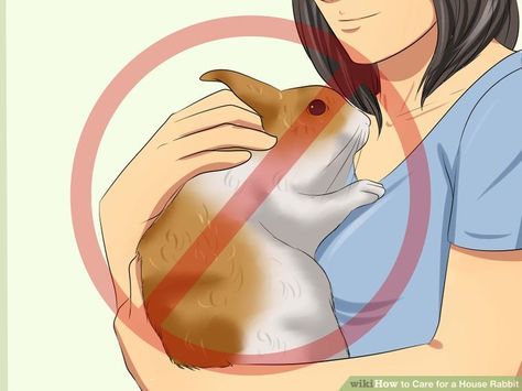 How to Care for a House Rabbit (with Pictures) - wikiHow Bunny Rabbit Photography, Rabbits Indoor House, Diy Bunny House Indoor Rabbit, Activities For Bunnies, Diy Bunny Cage Indoor House Rabbit Ideas, Indoor Bunny House Ideas, Diy Bunny Bed, Bunny House Indoor Diy, Rabbit Habitat Indoor