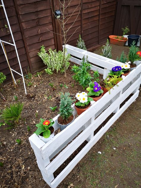 Pallet Vegetable Garden, Pallet Garden Box, Easy Small Garden Ideas, Animal Knowledge, Building A Garden, Pallet Wood Projects, Palette Garden, Diy Garden Decor Projects, Garden Shed Interiors