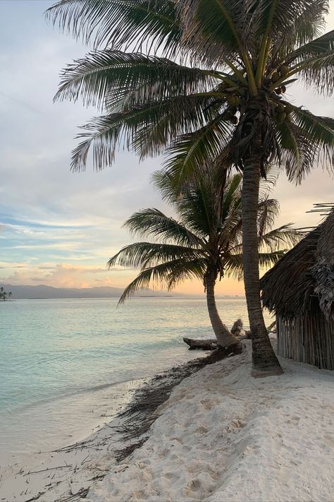 Panama San Blas, Panama Islands, Virginia Sanhouse, Palm Tree Island, Aesthetic Coconut, Island Aesthetic, San Blas Islands, Ocean Coral, Luxury Resorts