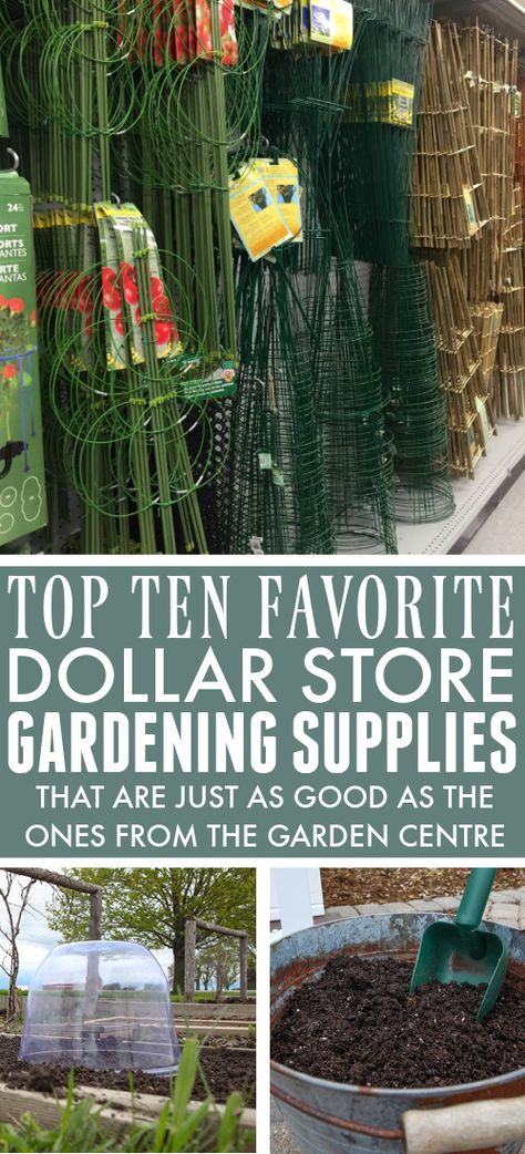 Garden Hack Ideas, Easy Gardening Hacks, Garden Hacks Diy, Cheap Landscaping Ideas, Diy Garden Fence, Garden Netting, Budget Garden, Garden Help, Garden Centre