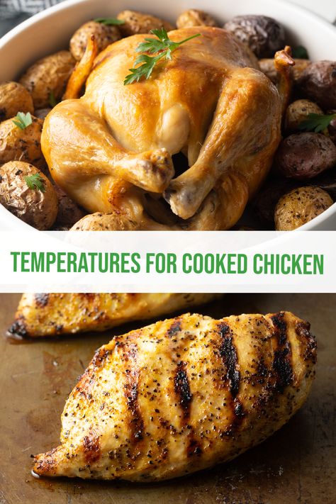 Chicken Temperature When Done, Temperature To Bake Chicken, Chicken 101, Cooked Chicken Temperature, Chicken Temperature, Perfect Chicken Breast, Chicken Thighs Recipes, Whole Chicken Recipes, A Spicy Perspective