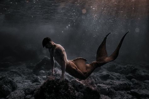 Merman Aesthetic Dark, Male Mermaid Aesthetic, Male Siren Aesthetic, Mermen Aesthetic, Merman Aesthetic, Sirens Aesthetic, Male Siren, Dark Mermaid Aesthetic, Siren Oc