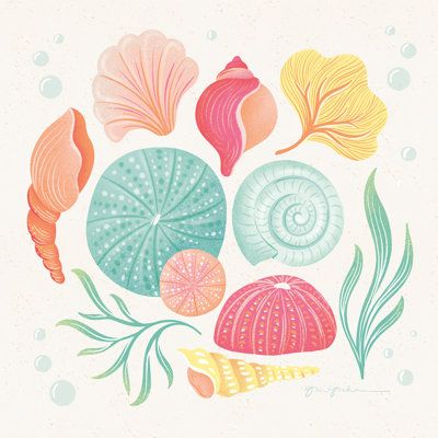 Seashell wall art