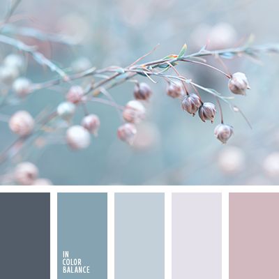 Loving the light pastel colors. I'd do this in the bathroom Design Seeds, Color Balance, Colour Board, Kitchen Colors, Winter Colors, Bedroom Colors, Colour Schemes, Color Pallets, Color Swatches