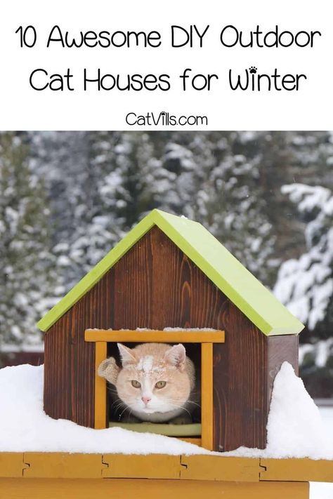 Looking for a DIY outdoor cat house for winter ideas? We've got you! Check out these 10 easy and reliable cat houses you can make in the comfort of your home! Diy Outdoor Winter Cat Shelter, Cute Cat Decor Ideas, Small Cat House Outdoor, Diy Wooden Cat House Outdoor, Diy Cat Outdoor House, How To Build An Outdoor Cat House, Winter Cat House Outdoor Diy, Heated Outdoor Cat House For Winter, Outdoor Kitty House Diy