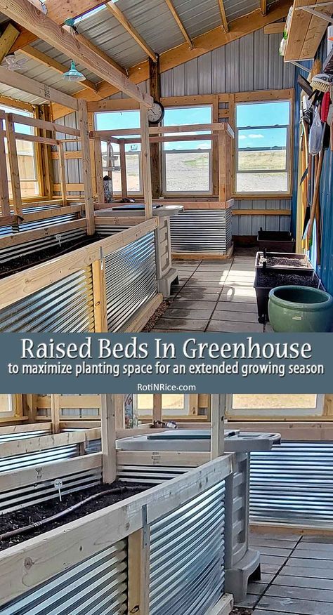 Raised-Beds In Greenhouse Raised Beds Greenhouse, Raised Bed In Greenhouse, Raised Garden Beds Greenhouse, Raised Garden Beds In Greenhouse, Maximize Greenhouse Space, Greenhouse Garden Beds, Greenhouse Grow Lights, Greenhouse Planter Boxes, Greenhouse Layout Floor Plans