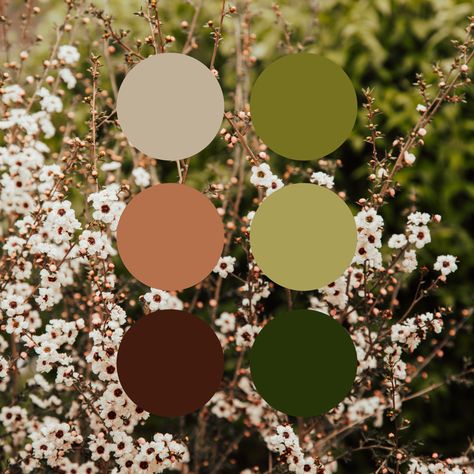 6 set color palette circles in burgundy, cream, peach, dark green, hunter green, and light green— shades are inspired by and set on top of a photograph of creamy white and peach tiny flowers with green-toned plants in background. Garden Color Scheme Colour Palettes, 70s Cottage Core Aesthetic, Cottage Core Wedding Colors, Nature Wedding Colors Palette, Colour Palette Cottagecore, Cottage Core Colour Pallete, Greenhouse Color Palette, Late Summer Wedding Palette, Cottagecore Palette Color