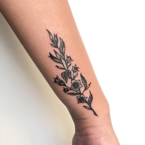 Night Shade Tattoo, Belladonna Tattoo, Nightshade Tattoo, Shade Tattoo, Deadly Nightshade, Bestie Tattoo, Tattoo Shading, Funky Tattoos, Witch Tattoo