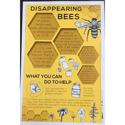 Bee Infographic Design, Honey Bee Infographic, Bees Infographic, Bee Infographic, Infographic Art Design, Aesthetic Infographic Design, Rain Costume, Honey Bee Facts, Bee Poster