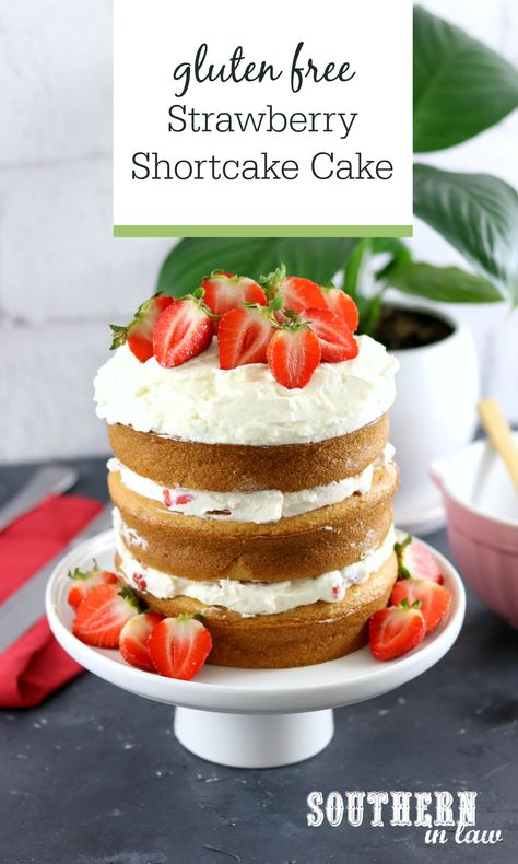 his Gluten Free Strawberry Shortcake Cake Recipe will become a new family favorite! Perfect as a birthday cake or for sharing with friends, this soft and fluffy gluten free vanilla cake is topped with whipped cream frosting and fresh strawberries for an easy but impressive dessert. Can be made into a sheet cake, layer cake or a single cake. Shortcake Cake Recipe, Strawberry Shortcake Birthday Cake, Gluten Free Strawberry Shortcake, Gluten Free Vanilla Cake, Strawberry Gluten Free, Shortcake Cake, Strawberry Shortcake Birthday, Strawberry Shortcake Cake, Impressive Desserts